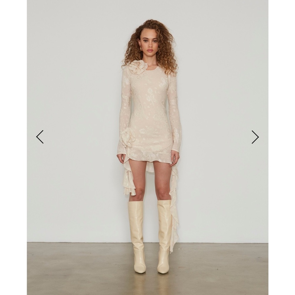 Delfi Collective || Free People